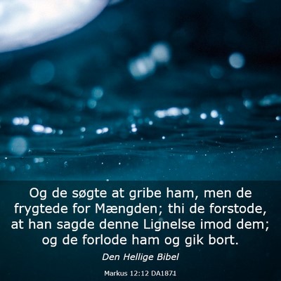 Picture 03 - Markus 12:12 DA1871 - Og de søgte at gribe ham, men de frygtede for - Bible Verse Picture
