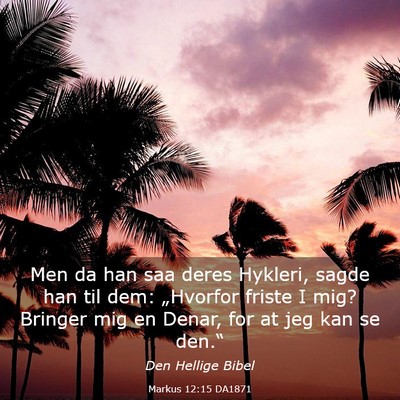 Picture 03 - Markus 12:15 DA1871 - Men da han saa deres Hykleri, sagde han til dem: - Bible Verse Picture