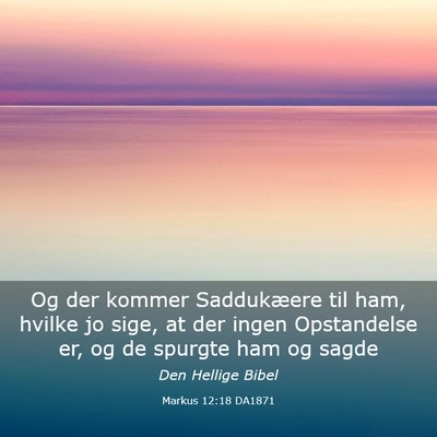 Picture 03 - Markus 12:18 DA1871 - Og der kommer Saddukæere til ham, hvilke jo - Bible Verse Picture