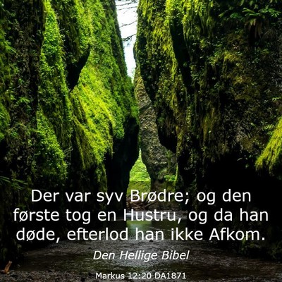 Picture 03 - Markus 12:20 DA1871 - Der var syv Brødre; og den første tog en - Bible Verse Picture