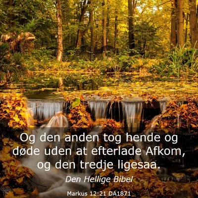 Picture 03 - Markus 12:21 DA1871 - Og den anden tog hende og døde uden at efterlade - Bible Verse Picture
