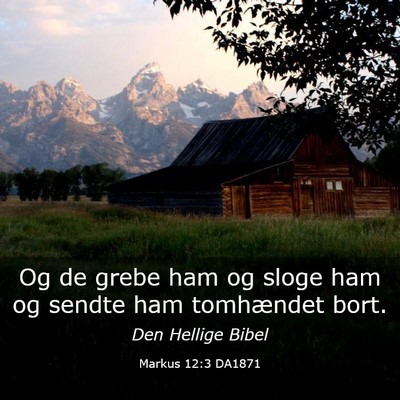 Picture 03 - Markus 12:3 DA1871 - Og de grebe ham og sloge ham og sendte ham - Bible Verse Picture