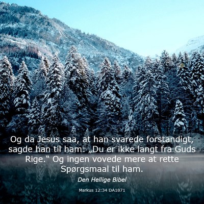 Picture 03 - Markus 12:34 DA1871 - Og da Jesus saa, at han svarede forstandigt, - Bible Verse Picture
