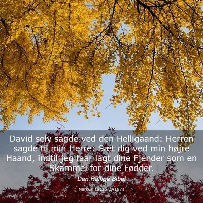 Picture 03 - Markus 12:36 DA1871 - David selv sagde ved den Helligaand: Herren sagde - Bible Verse Picture