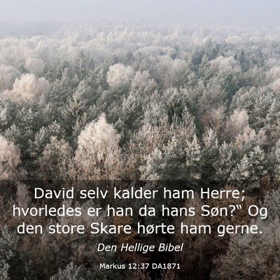 Picture 03 - Markus 12:37 DA1871 - David selv kalder ham Herre; hvorledes er han da - Bible Verse Picture