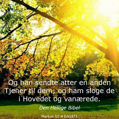 Picture 03 - Markus 12:4 DA1871 - Og han sendte atter en anden Tjener til dem; og - Bible Verse Picture