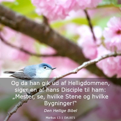 Picture 03 - Markus 13:1 DA1871 - Og da han gik ud af Helligdommen, siger en af - Bible Verse Picture