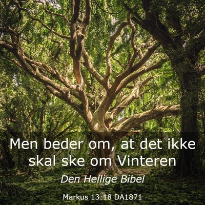Picture 03 - Markus 13:18 DA1871 - Men beder om, at det ikke skal ske om - Bible Verse Picture