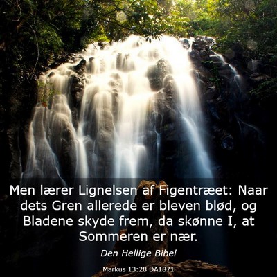 Picture 03 - Markus 13:28 DA1871 - Men lærer Lignelsen af Figentræet: Naar dets - Bible Verse Picture