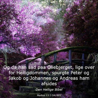 Picture 03 - Markus 13:3 DA1871 - Og da han sad paa Oliebjerget, lige over for - Bible Verse Picture
