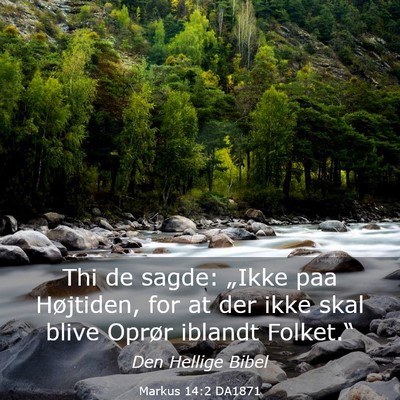 Picture 03 - Markus 14:2 DA1871 - Thi de sagde: „Ikke paa Højtiden, for at der - Bible Verse Picture