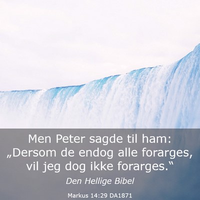 Picture 03 - Markus 14:29 DA1871 - Men Peter sagde til ham: „Dersom de endog alle - Bible Verse Picture