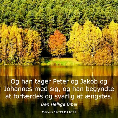 Picture 03 - Markus 14:33 DA1871 - Og han tager Peter og Jakob og Johannes med sig, - Bible Verse Picture