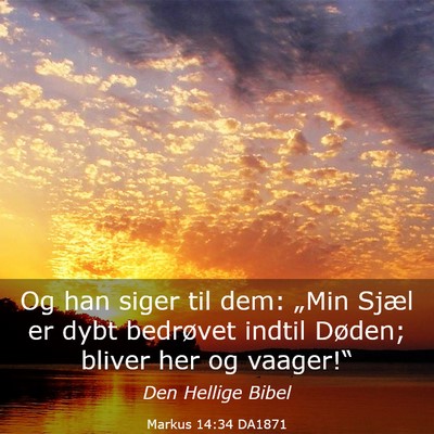 Picture 03 - Markus 14:34 DA1871 - Og han siger til dem: „Min Sjæl er dybt - Bible Verse Picture