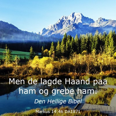 Picture 03 - Markus 14:46 DA1871 - Men de lagde Haand paa ham og grebe - Bible Verse Picture