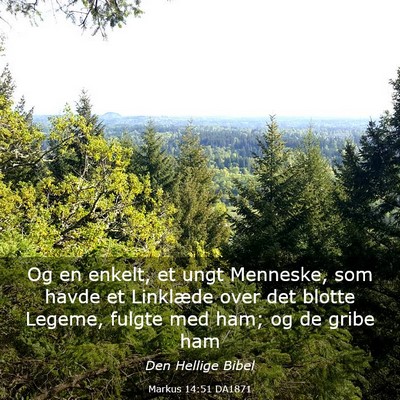 Picture 03 - Markus 14:51 DA1871 - Og en enkelt, et ungt Menneske, som havde et - Bible Verse Picture