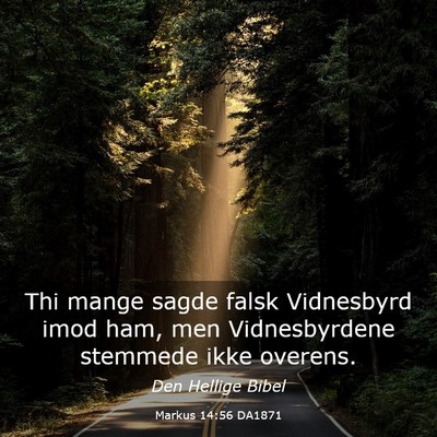 Picture 03 - Markus 14:56 DA1871 - Thi mange sagde falsk Vidnesbyrd imod ham, men - Bible Verse Picture