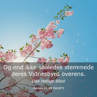 Picture 03 - Markus 14:59 DA1871 - Og end ikke saaledes stemmede deres Vidnesbyrd - Bible Verse Picture