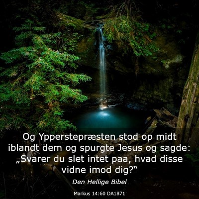 Picture 03 - Markus 14:60 DA1871 - Og Ypperstepræsten stod op midt iblandt dem og - Bible Verse Picture