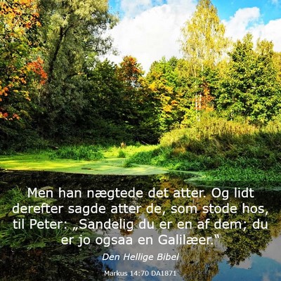 Picture 03 - Markus 14:70 DA1871 - Men han nægtede det atter. Og lidt derefter - Bible Verse Picture