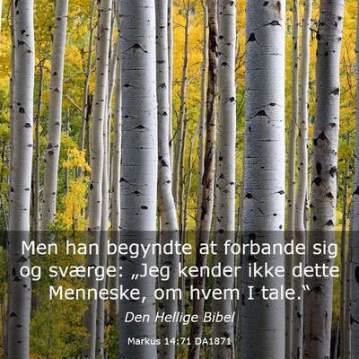 Picture 03 - Markus 14:71 DA1871 - Men han begyndte at forbande sig og sværge: - Bible Verse Picture