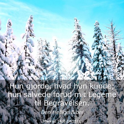 Picture 03 - Markus 14:8 DA1871 - Hun gjorde, hvad hun kunde; hun salvede forud mit - Bible Verse Picture