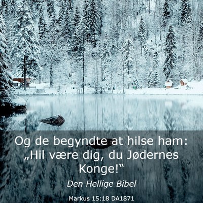 Picture 03 - Markus 15:18 DA1871 - Og de begyndte at hilse ham: „Hil være dig, du - Bible Verse Picture