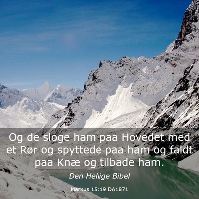 Picture 03 - Markus 15:19 DA1871 - Og de sloge ham paa Hovedet med et Rør og - Bible Verse Picture