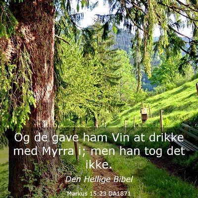 Picture 03 - Markus 15:23 DA1871 - Og de gave ham Vin at drikke med Myrra i; men han - Bible Verse Picture