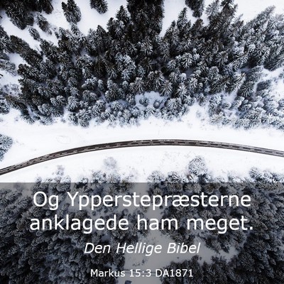 Picture 03 - Markus 15:3 DA1871 - Og Ypperstepræsterne anklagede ham - Bible Verse Picture