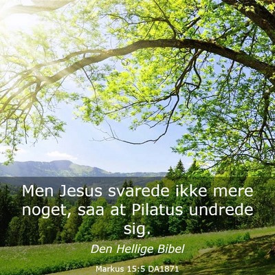 Picture 03 - Markus 15:5 DA1871 - Men Jesus svarede ikke mere noget, saa at Pilatus - Bible Verse Picture