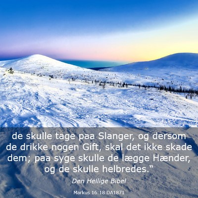 Picture 03 - Markus 16:18 DA1871 - de skulle tage paa Slanger, og dersom de drikke - Bible Verse Picture