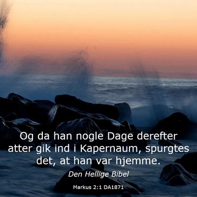 Picture 03 - Markus 2:1 DA1871 - Og da han nogle Dage derefter atter gik ind i - Bible Verse Picture