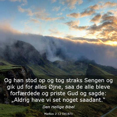Picture 03 - Markus 2:12 DA1871 - Og han stod op og tog straks Sengen og gik ud for - Bible Verse Picture