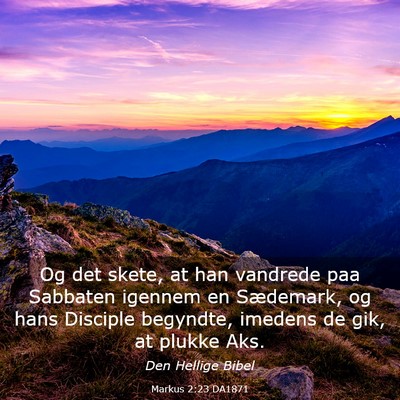 Picture 03 - Markus 2:23 DA1871 - Og det skete, at han vandrede paa Sabbaten - Bible Verse Picture