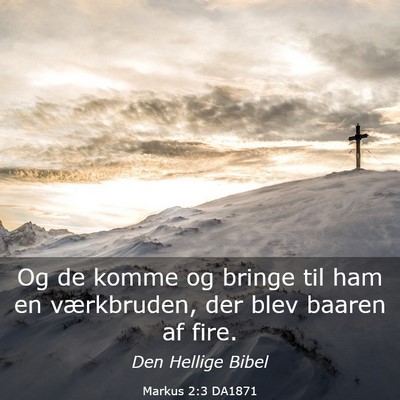 Picture 03 - Markus 2:3 DA1871 - Og de komme og bringe til ham en værkbruden, der - Bible Verse Picture