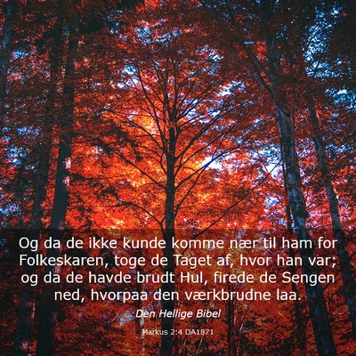 Picture 03 - Markus 2:4 DA1871 - Og da de ikke kunde komme nær til ham for - Bible Verse Picture