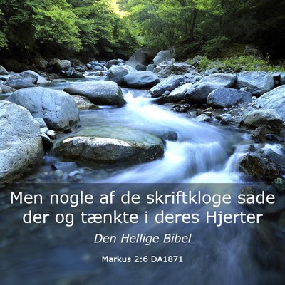 Picture 03 - Markus 2:6 DA1871 - Men nogle af de skriftkloge sade der og tænkte i - Bible Verse Picture
