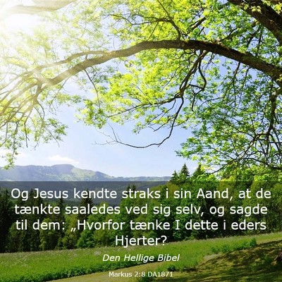 Picture 03 - Markus 2:8 DA1871 - Og Jesus kendte straks i sin Aand, at de tænkte - Bible Verse Picture