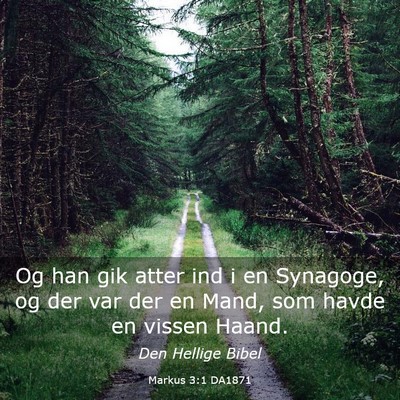 Picture 03 - Markus 3:1 DA1871 - Og han gik atter ind i en Synagoge, og der var - Bible Verse Picture