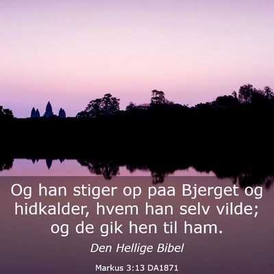 Picture 03 - Markus 3:13 DA1871 - Og han stiger op paa Bjerget og hidkalder, hvem - Bible Verse Picture