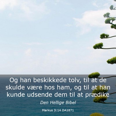 Picture 03 - Markus 3:14 DA1871 - Og han beskikkede tolv, til at de skulde være - Bible Verse Picture