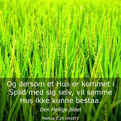 Picture 03 - Markus 3:25 DA1871 - Og dersom et Hus er kommet i Splid med sig selv, - Bible Verse Picture