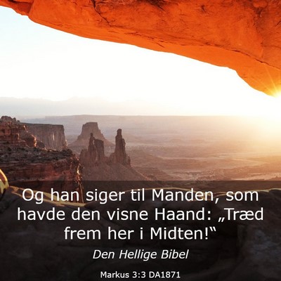 Picture 03 - Markus 3:3 DA1871 - Og han siger til Manden, som havde den visne - Bible Verse Picture