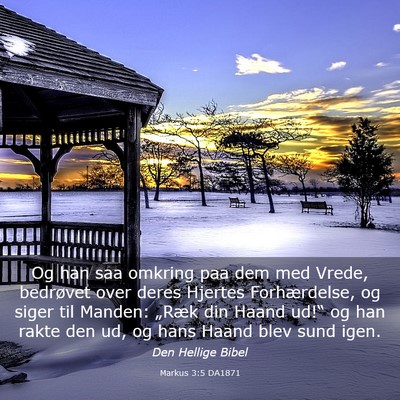 Picture 03 - Markus 3:5 DA1871 - Og han saa omkring paa dem med Vrede, bedrøvet - Bible Verse Picture