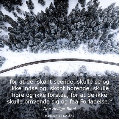 Picture 03 - Markus 4:12 DA1871 - for at de, skønt seende, skulle se og ikke indse - Bible Verse Picture
