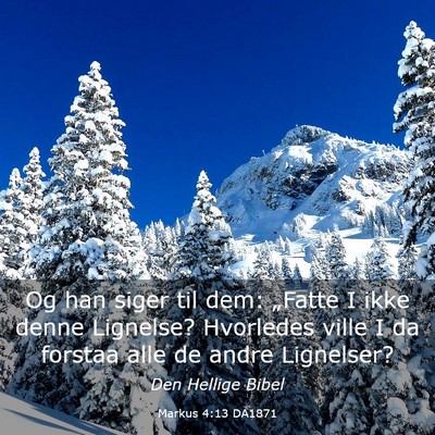 Picture 03 - Markus 4:13 DA1871 - Og han siger til dem: „Fatte I ikke denne - Bible Verse Picture