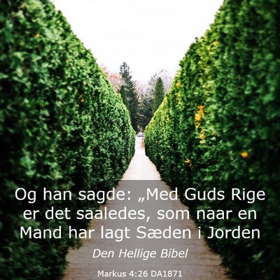 Picture 03 - Markus 4:26 DA1871 - Og han sagde: „Med Guds Rige er det saaledes, - Bible Verse Picture
