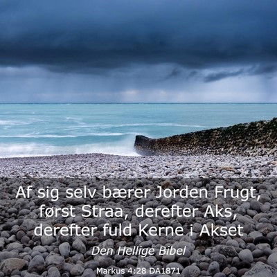 Picture 03 - Markus 4:28 DA1871 - Af sig selv bærer Jorden Frugt, først Straa, - Bible Verse Picture