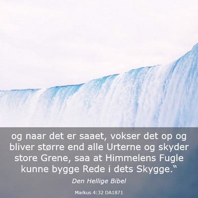 Picture 03 - Markus 4:32 DA1871 - og naar det er saaet, vokser det op og bliver - Bible Verse Picture